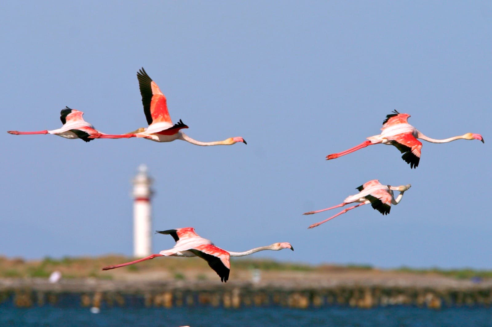 Delta del Ebro